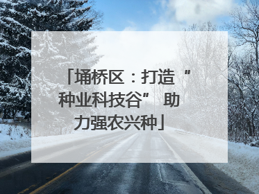 埇桥区：打造“种业科技谷” 助力强农兴种