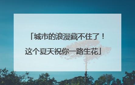 城市的浪漫藏不住了！这个夏天祝你一路生花
