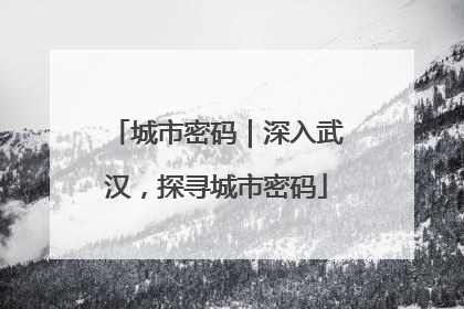 城市密码｜深入武汉，探寻城市密码