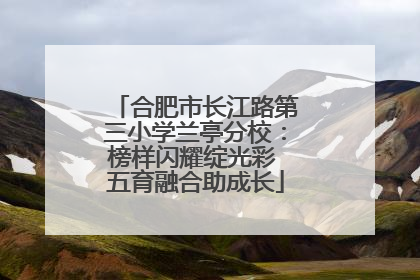 合肥市长江路第三小学兰亭分校：榜样闪耀绽光彩 五育融合助成长
