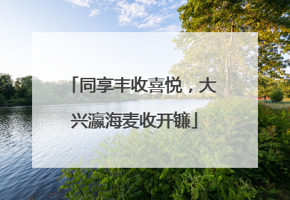 同享丰收喜悦，大兴瀛海麦收开镰