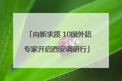 向新求质 10国外籍专家开启西安调研行