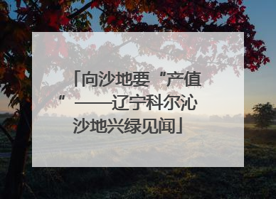 向沙地要“产值”——辽宁科尔沁沙地兴绿见闻