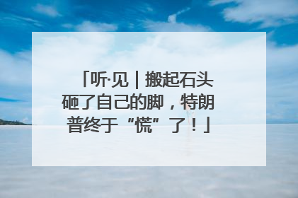 听·见｜搬起石头砸了自己的脚，特朗普终于“慌”了！