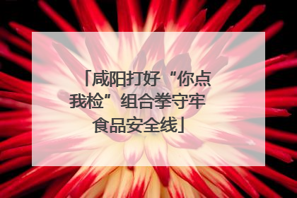 咸阳打好“你点我检”组合拳守牢食品安全线