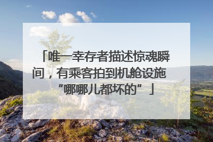 唯一幸存者描述惊魂瞬间，有乘客拍到机舱设施“哪哪儿都坏的”