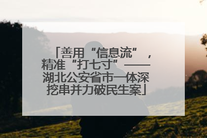 善用“信息流”，精准“打七寸”——湖北公安省市一体深挖串并力破民生案