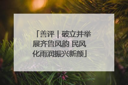善评｜破立并举展齐鲁风韵 民风化雨润振兴新颜
