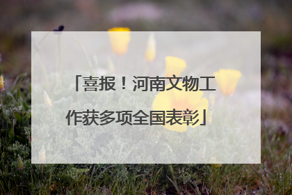 喜报！河南文物工作获多项全国表彰