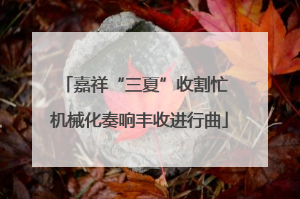 嘉祥“三夏”收割忙 机械化奏响丰收进行曲