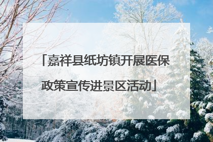嘉祥县纸坊镇开展医保政策宣传进景区活动