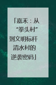 嘉禾：从“拳头村”到文明标杆 清水村的逆袭密码