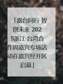 嘉台同行 智创未来 2025浙江·台湾合作周嘉兴专场活动在嘉兴经开区启幕