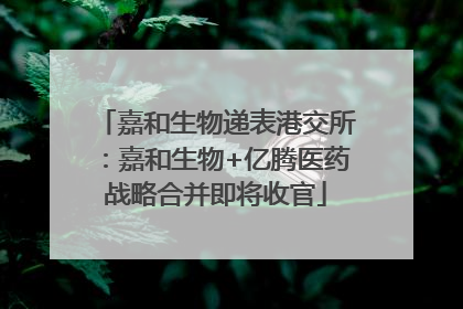 嘉和生物递表港交所：嘉和生物+亿腾医药战略合并即将收官