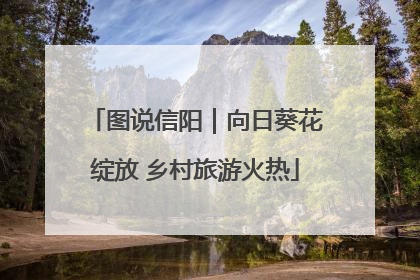 图说信阳｜向日葵花绽放 乡村旅游火热