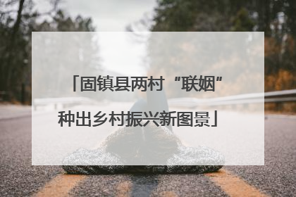 固镇县两村“联姻”种出乡村振兴新图景