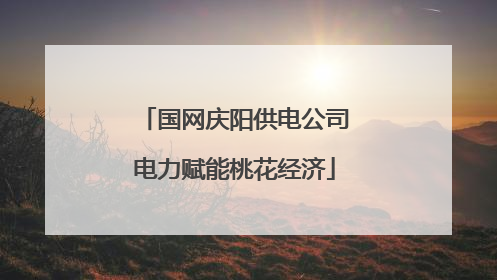 国网庆阳供电公司电力赋能桃花经济