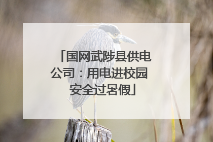国网武陟县供电公司：用电进校园  安全过暑假