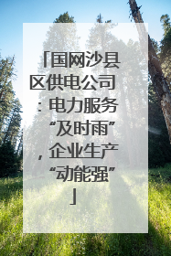 国网沙县区供电公司：电力服务“及时雨”，企业生产“动能强”