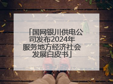 国网银川供电公司发布2024年服务地方经济社会发展白皮书