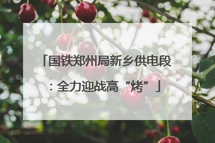 国铁郑州局新乡供电段：全力迎战高“烤”