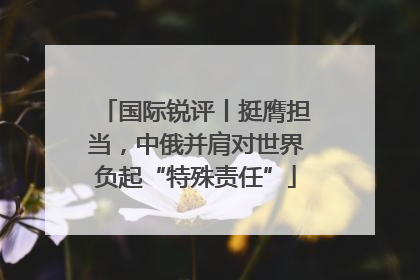 国际锐评丨挺膺担当，中俄并肩对世界负起“特殊责任”