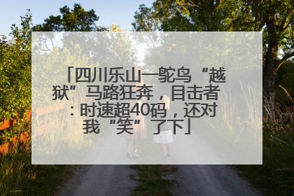 四川乐山一鸵鸟“越狱”马路狂奔，目击者：时速超40码，还对我“笑”了下