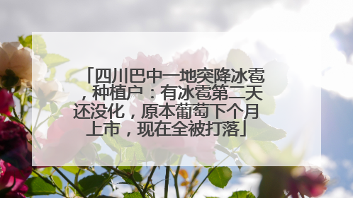 四川巴中一地突降冰雹，种植户：有冰雹第二天还没化，原本葡萄下个月上市，现在全被打落