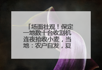 场面壮观！保定一地数十台收割机连夜抢收小麦，当地：农户自发，夏收工作基本完成