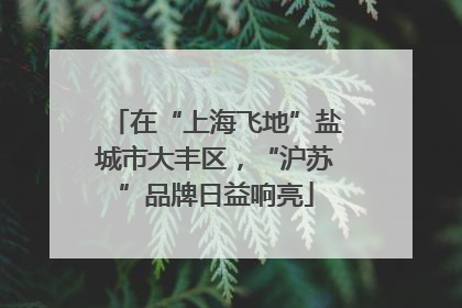 在“上海飞地”盐城市大丰区，“沪苏”品牌日益响亮
