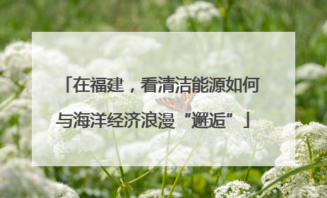 在福建，看清洁能源如何与海洋经济浪漫“邂逅”
