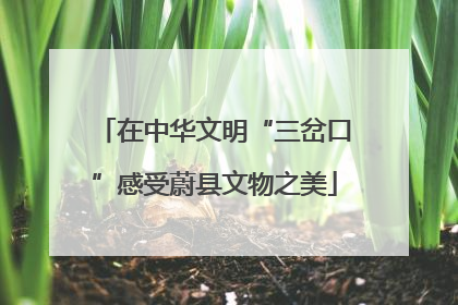 在中华文明“三岔口”感受蔚县文物之美