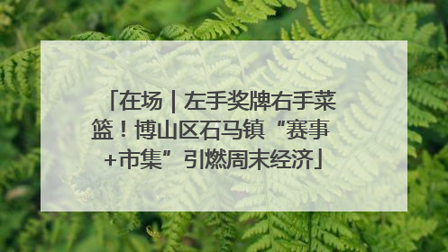 在场｜左手奖牌右手菜篮！博山区石马镇“赛事+市集”引燃周末经济