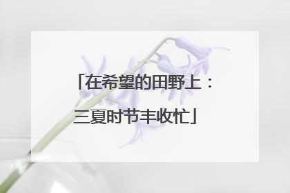 在希望的田野上：三夏时节丰收忙