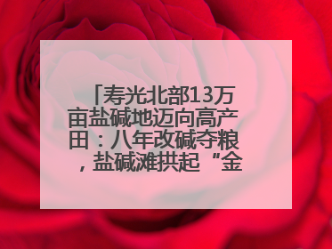 寿光北部13万亩盐碱地迈向高产田：八年改碱夺粮，盐碱滩拱起“金粮仓”