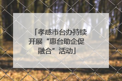 孝感市台办持续开展“惠台助企促融合”活动