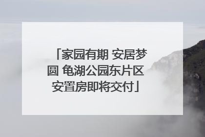 家园有期 安居梦圆 龟湖公园东片区安置房即将交付
