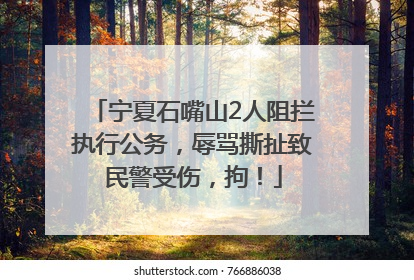 宁夏石嘴山2人阻拦执行公务，辱骂撕扯致民警受伤，拘！
