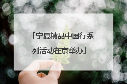 宁夏精品中国行系列活动在京举办