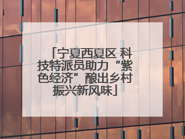 宁夏西夏区 科技特派员助力“紫色经济”酿出乡村振兴新风味