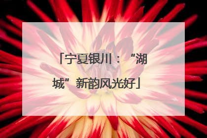 宁夏银川：“湖城”新韵风光好