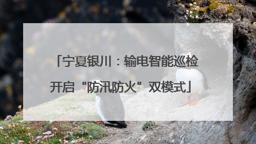宁夏银川：输电智能巡检开启“防汛防火”双模式