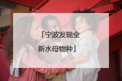 宁波发现全新水母物种