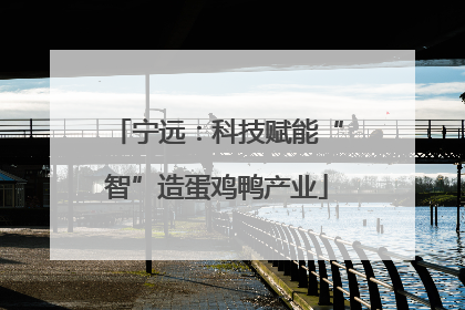 宁远：科技赋能“智”造蛋鸡鸭产业