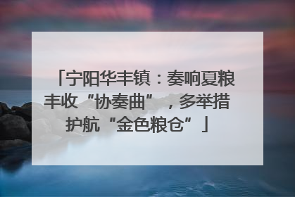 宁阳华丰镇：奏响夏粮丰收“协奏曲”，多举措护航“金色粮仓”