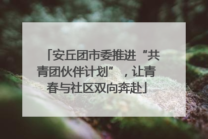安丘团市委推进“共青团伙伴计划”，让青春与社区双向奔赴