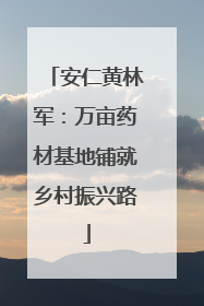 安仁黄林军：万亩药材基地铺就乡村振兴路