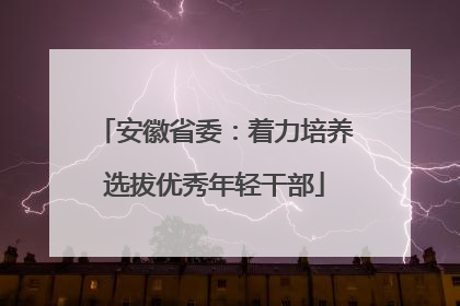 安徽省委：着力培养选拔优秀年轻干部