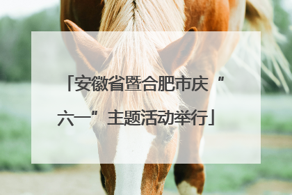安徽省暨合肥市庆“六一”主题活动举行