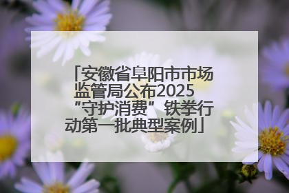 安徽省阜阳市市场监管局公布2025“守护消费”铁拳行动第一批典型案例